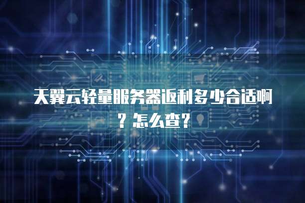 天翼云轻量服务器返利多少合适啊？怎么查？