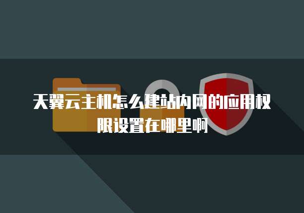 天翼云主机怎么建站内网的应用权限设置在哪里啊