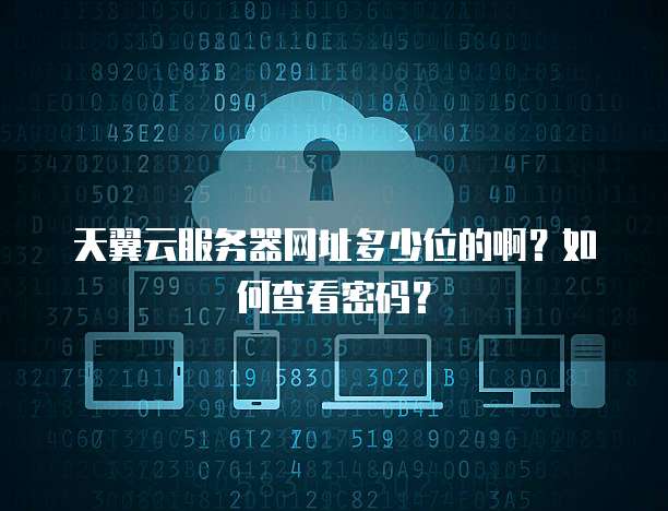 天翼云服务器网址多少位的啊？如何查看密码？