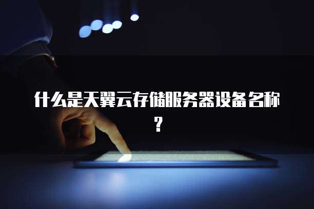 什么是天翼云存储服务器设备名称?