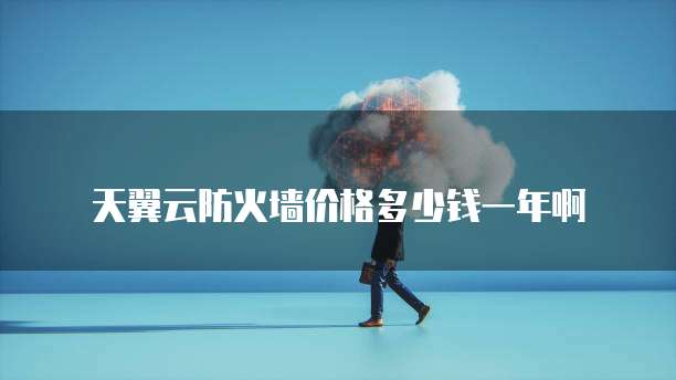 天翼云防火墙价格多少钱一年啊