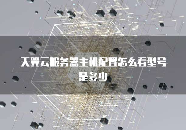 天翼云服务器主机配置怎么看型号是多少