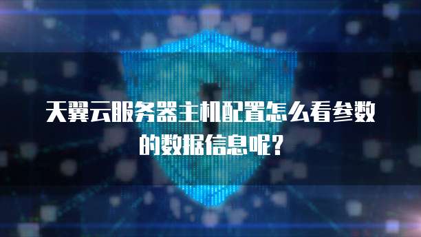 天翼云服务器主机配置怎么看参数的数据信息呢?