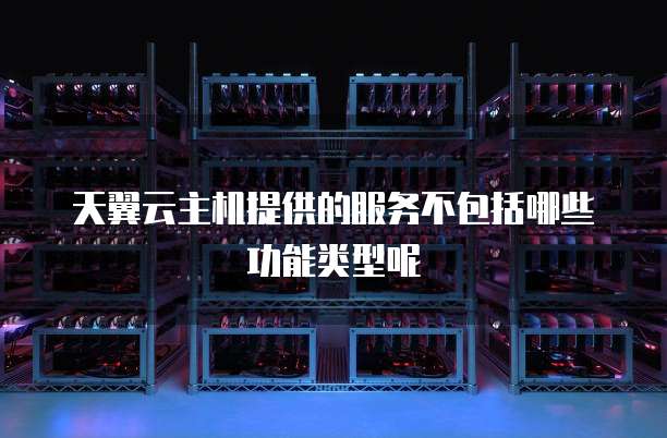 天翼云主机提供的服务不包括哪些功能类型呢