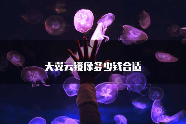 天翼云镜像多少钱合适
