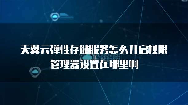 天翼云弹性存储服务怎么开启权限管理器设置在哪里啊