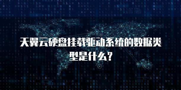 天翼云硬盘挂载驱动系统的数据类型是什么?