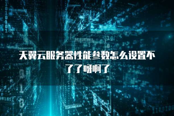 天翼云服务器性能参数怎么设置不了了呀啊了