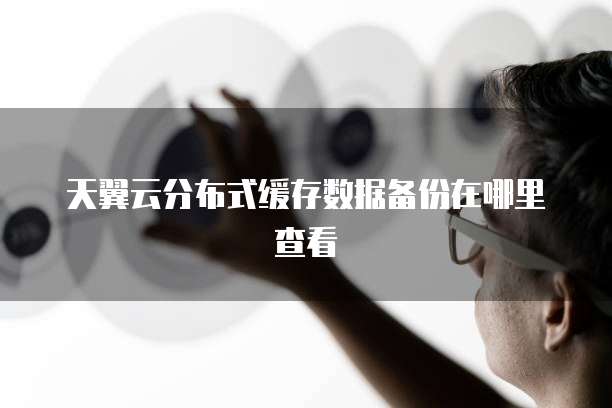天翼云分布式缓存数据备份在哪里查看