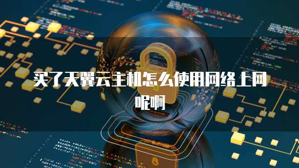 买了天翼云主机怎么使用网络上网呢啊