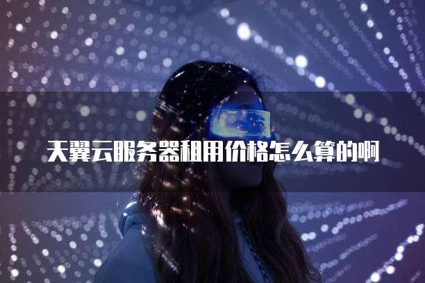 天翼云服务器租用价格怎么算的啊