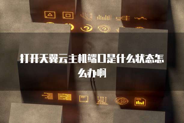 打开天翼云主机端口是什么状态怎么办啊