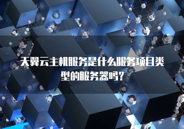 天翼云主机服务是什么服务项目类型的服务器吗?