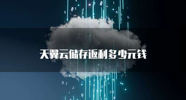 天翼云储存返利多少元钱