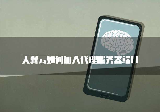 天翼云如何加入代理服务器端口
