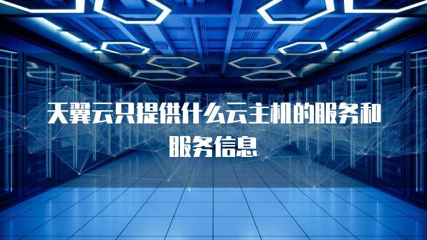 天翼云只提供什么云主机的服务和服务信息