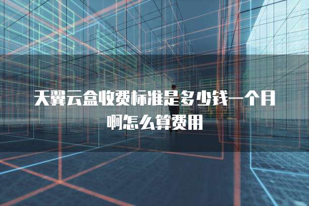 天翼云盒收费标准是多少钱一个月啊怎么算费用