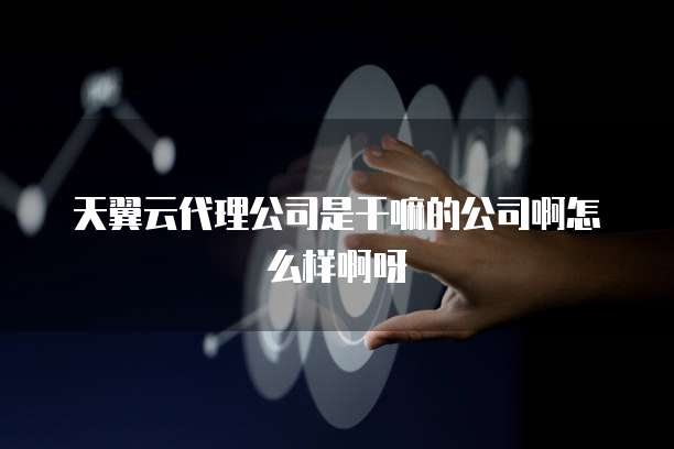 天翼云代理公司是干嘛的公司啊怎么样啊呀