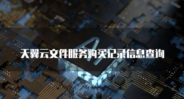 天翼云文件服务购买记录信息查询