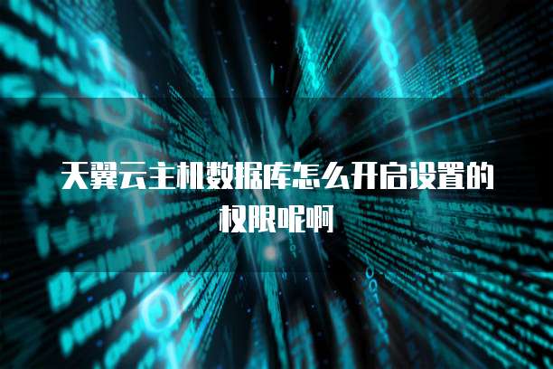 天翼云主机数据库怎么开启设置的权限呢啊