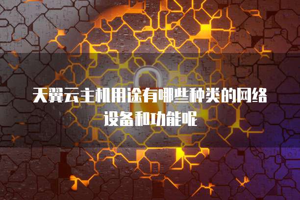 天翼云主机用途有哪些种类的网络设备和功能呢