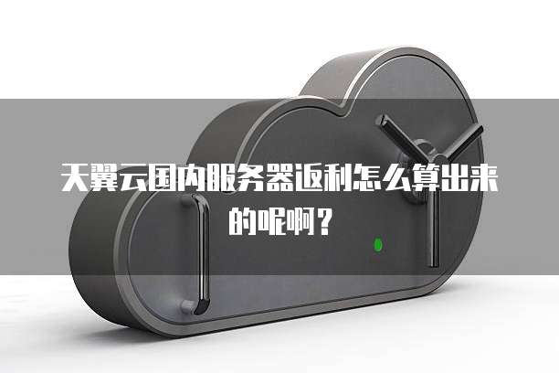 天翼云国内服务器返利怎么算出来的呢啊?
