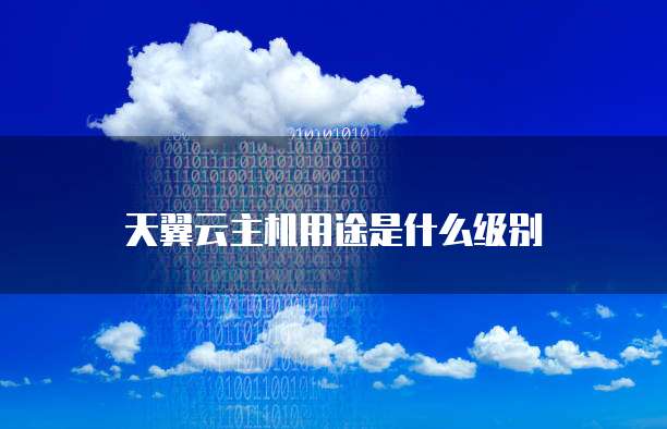 天翼云主机用途是什么级别