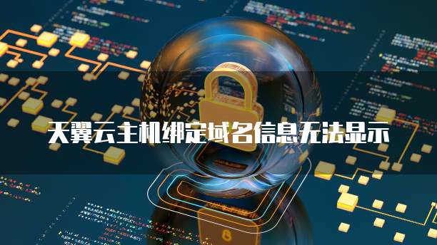 天翼云主机绑定域名信息无法显示