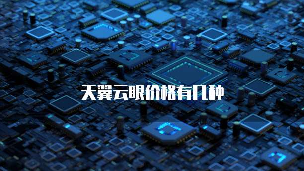 天翼云眼价格有几种