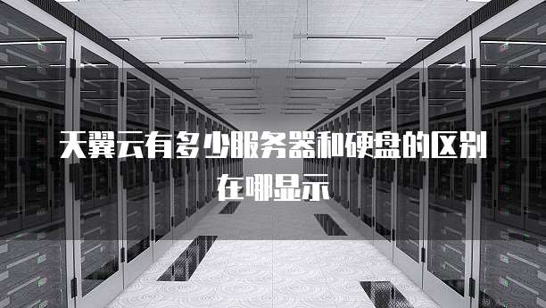 天翼云有多少服务器和硬盘的区别在哪显示