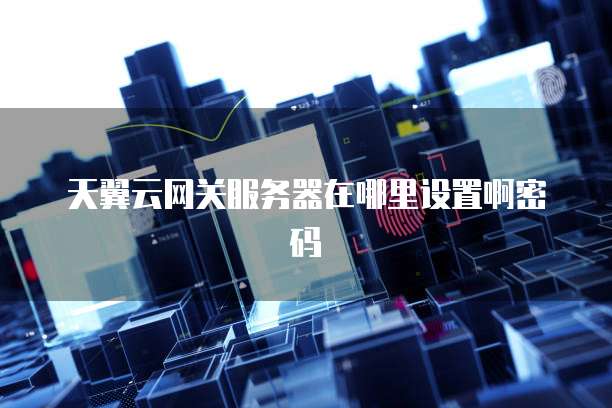 天翼云网关服务器在哪里设置啊密码