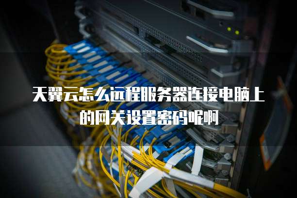 天翼云怎么远程服务器连接电脑上的网关设置密码呢啊