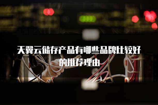 天翼云储存产品有哪些品牌比较好的推荐理由