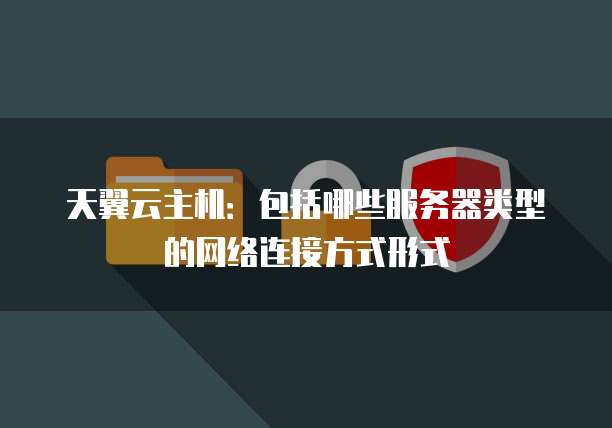 天翼云主机:包括哪些服务器类型的网络连接方式形式