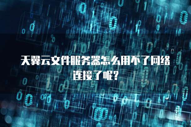 天翼云文件服务器怎么用不了网络连接了呢?