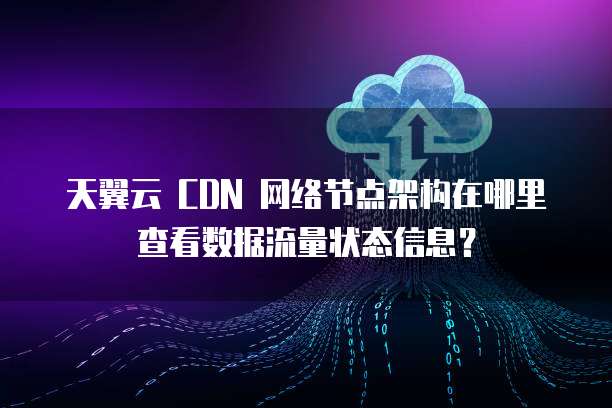 天翼云 CDN 网络节点架构在哪里查看数据流量状态信息?
