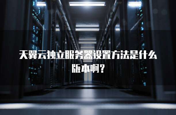 天翼云独立服务器设置方法是什么版本啊?