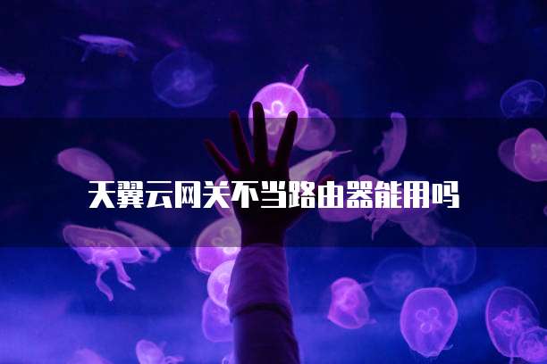 天翼云网关不当路由器能用吗