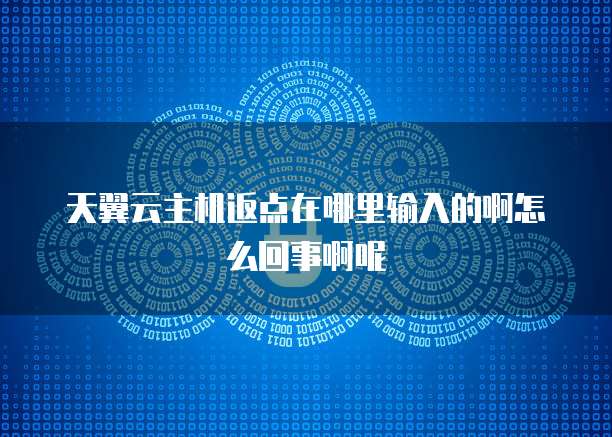 天翼云主机返点在哪里输入的啊怎么回事啊呢