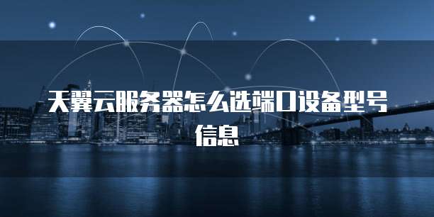 天翼云服务器怎么选端口设备型号信息