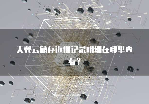 天翼云储存返佣记录明细在哪里查看？