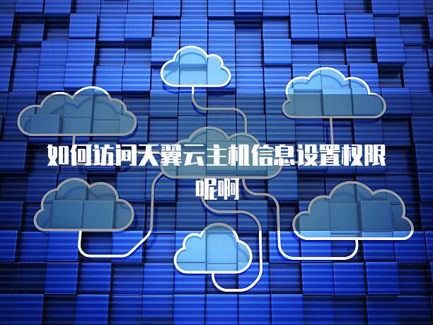 如何访问天翼云主机信息设置权限呢啊