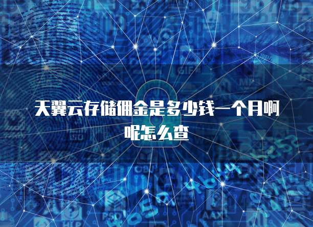 天翼云存储佣金是多少钱一个月啊呢怎么查