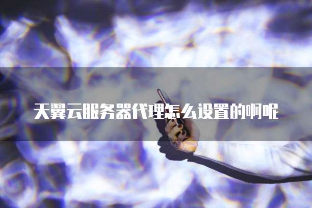 天翼云服务器代理怎么设置的啊呢