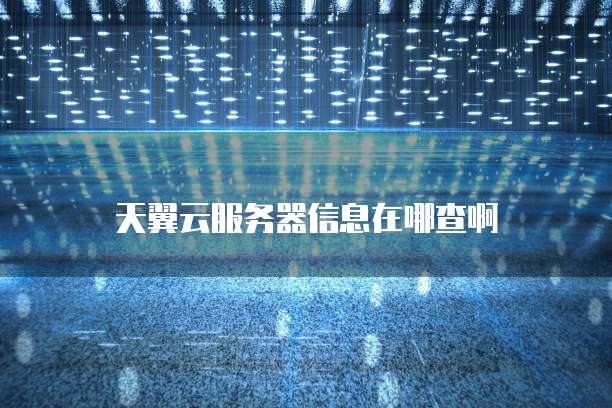 天翼云服务器信息在哪查啊