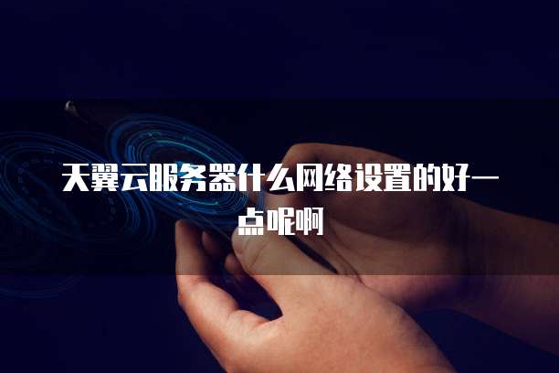 天翼云服务器什么网络设置的好一点呢啊