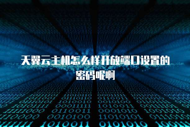 天翼云主机怎么样开放端口设置的密码呢啊