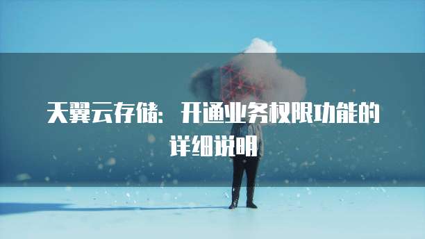 天翼云存储：开通业务权限功能的详细说明
