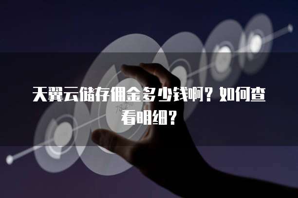 天翼云储存佣金多少钱啊？如何查看明细？