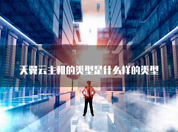 天翼云主机的类型是什么样的类型